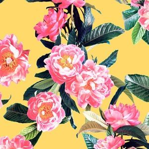 Meet your Posher, Pabduab